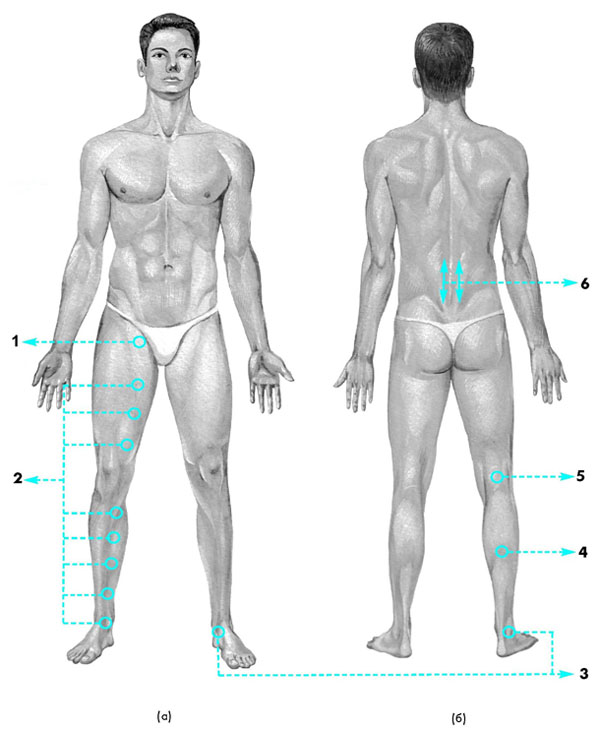 Схема лечения атеросклероза нижних конечностей