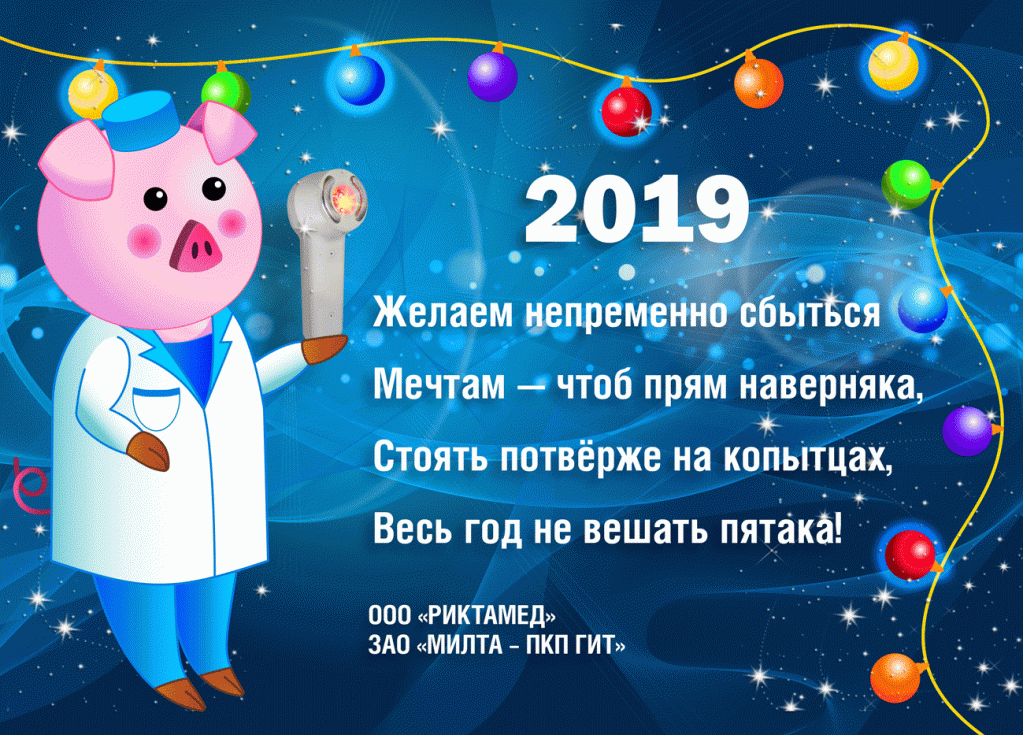 С Новым годом — 2019.gif